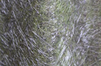 Eccles On Sea fibreglass roof work